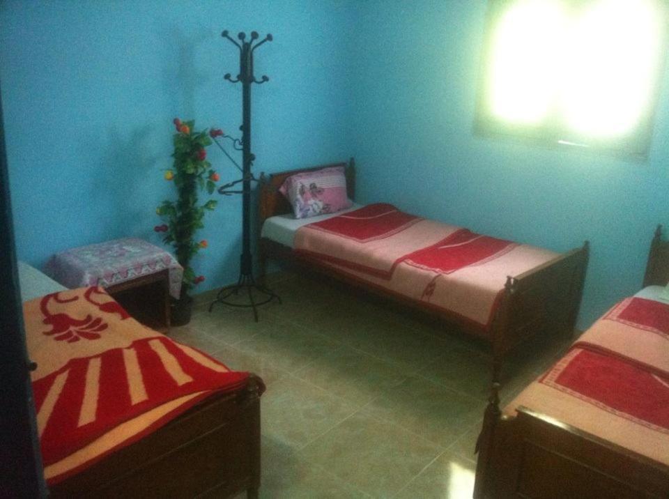 Bob Marley House Sherief Hotel ลักซอร์ ภายนอก รูปภาพ