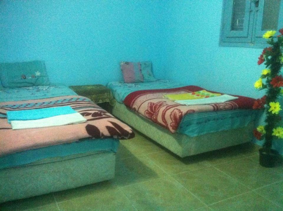 Bob Marley House Sherief Hotel ลักซอร์ ภายนอก รูปภาพ
